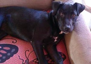 Sad tail has happy ending 